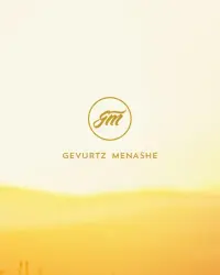 Gevurtz Menashe Website Rebuild